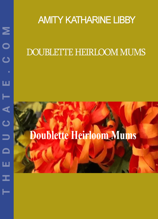 Amity Katharine Libby - Doublette Heirloom Mums