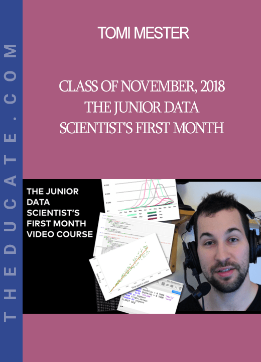 Tomi Mester - Class of November, 2018 - The Junior Data Scientist's First Month