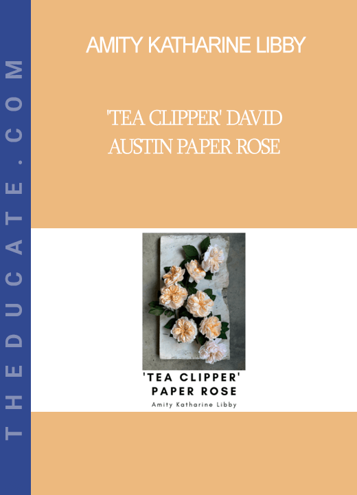 Amity Katharine Libby - 'Tea Clipper' David Austin Paper Rose