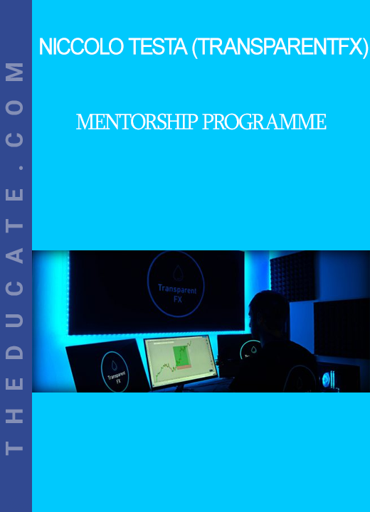 Niccolo Testa (TransparentFX) - Mentorship Programme