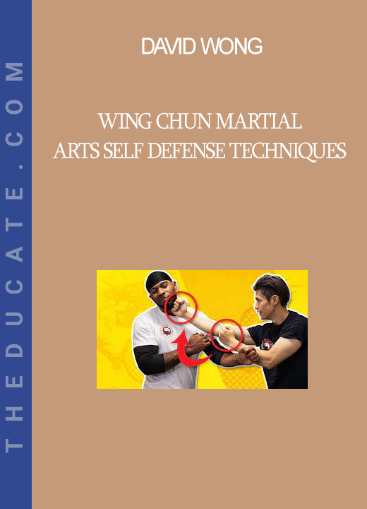 David Wong - Wing Chun Martial Arts Self Defense Techniques